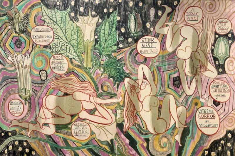 Emma Talbot, Datura, inspired by medieval manuscripts and principles of permaculture